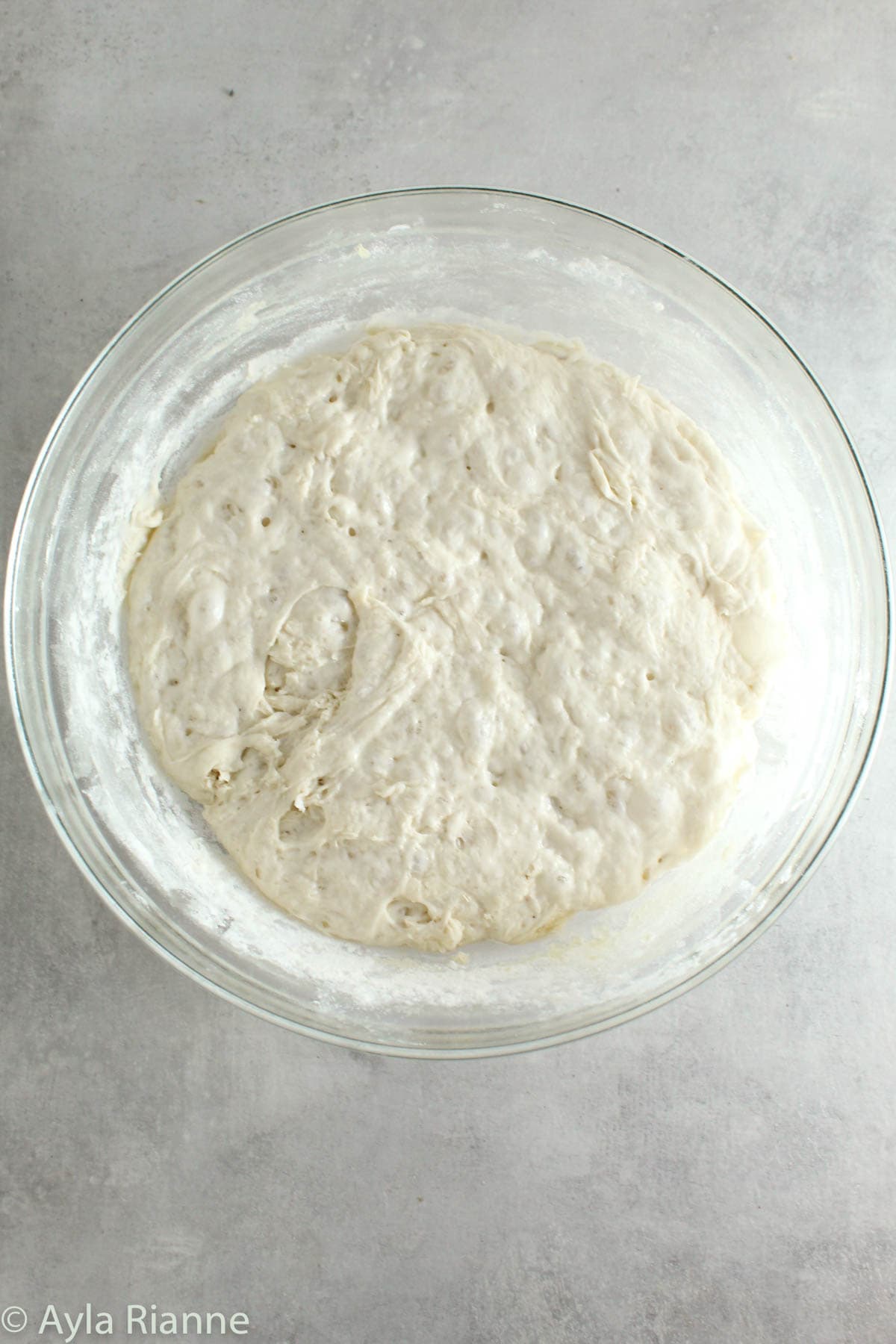 bread dough in a bowl