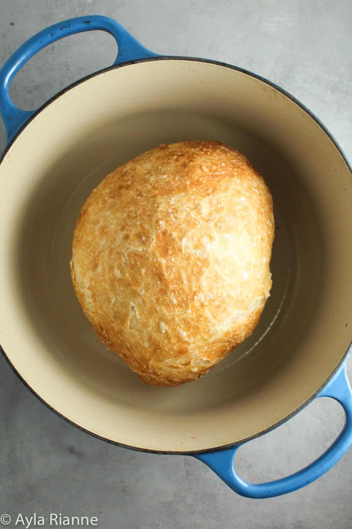 no knead bread in a dutch oven