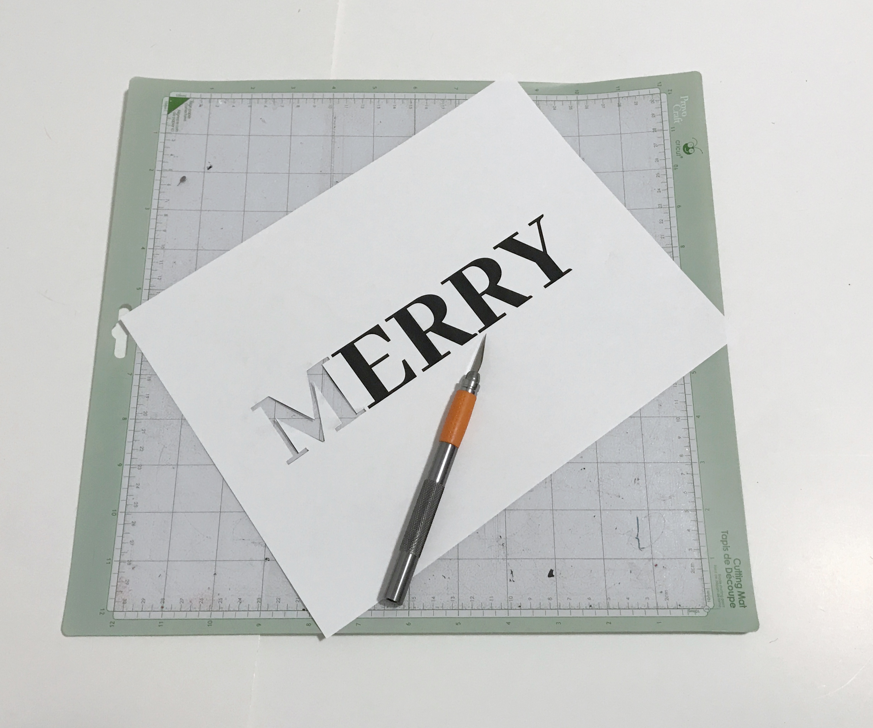 DIY Doormat #aylarianne #DIYdoormat #DIY #christmasdoormat