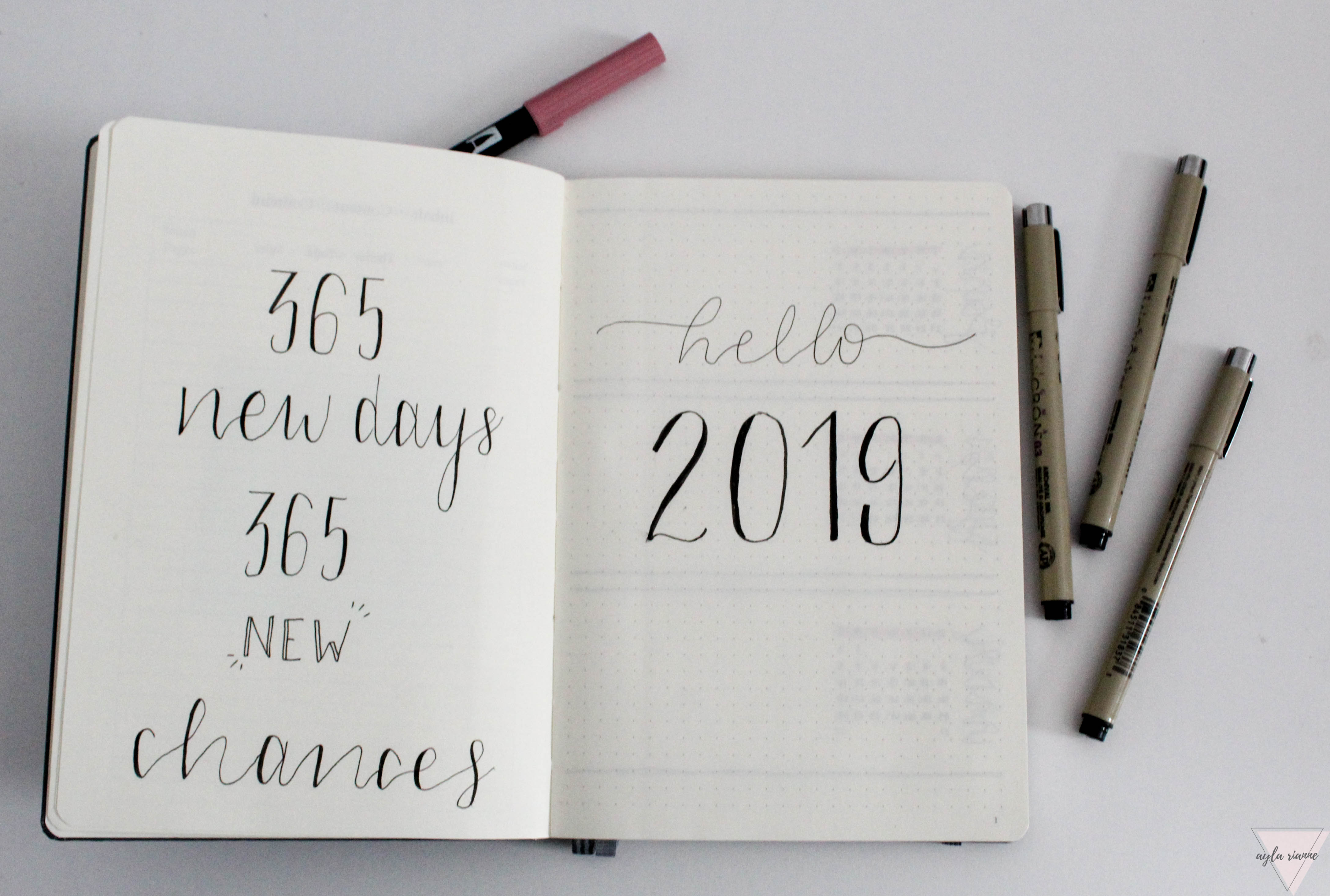 Bullet Journal 2019 Title Page #aylarianne #bulletjournal #annualplanwithme