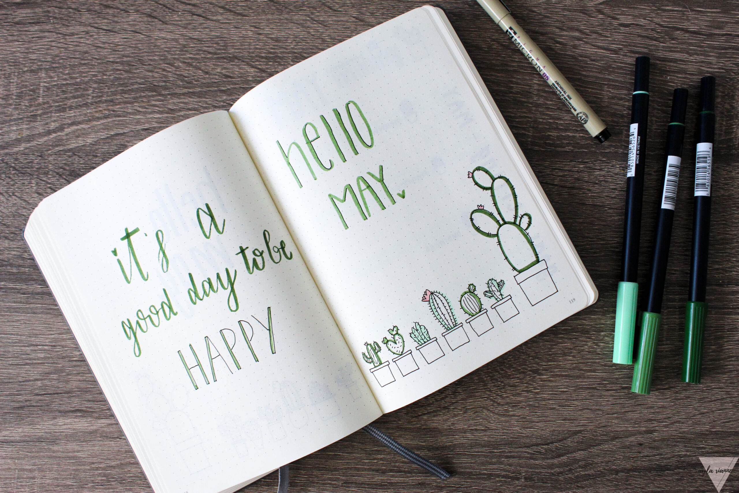 Plan With Me – May 2019