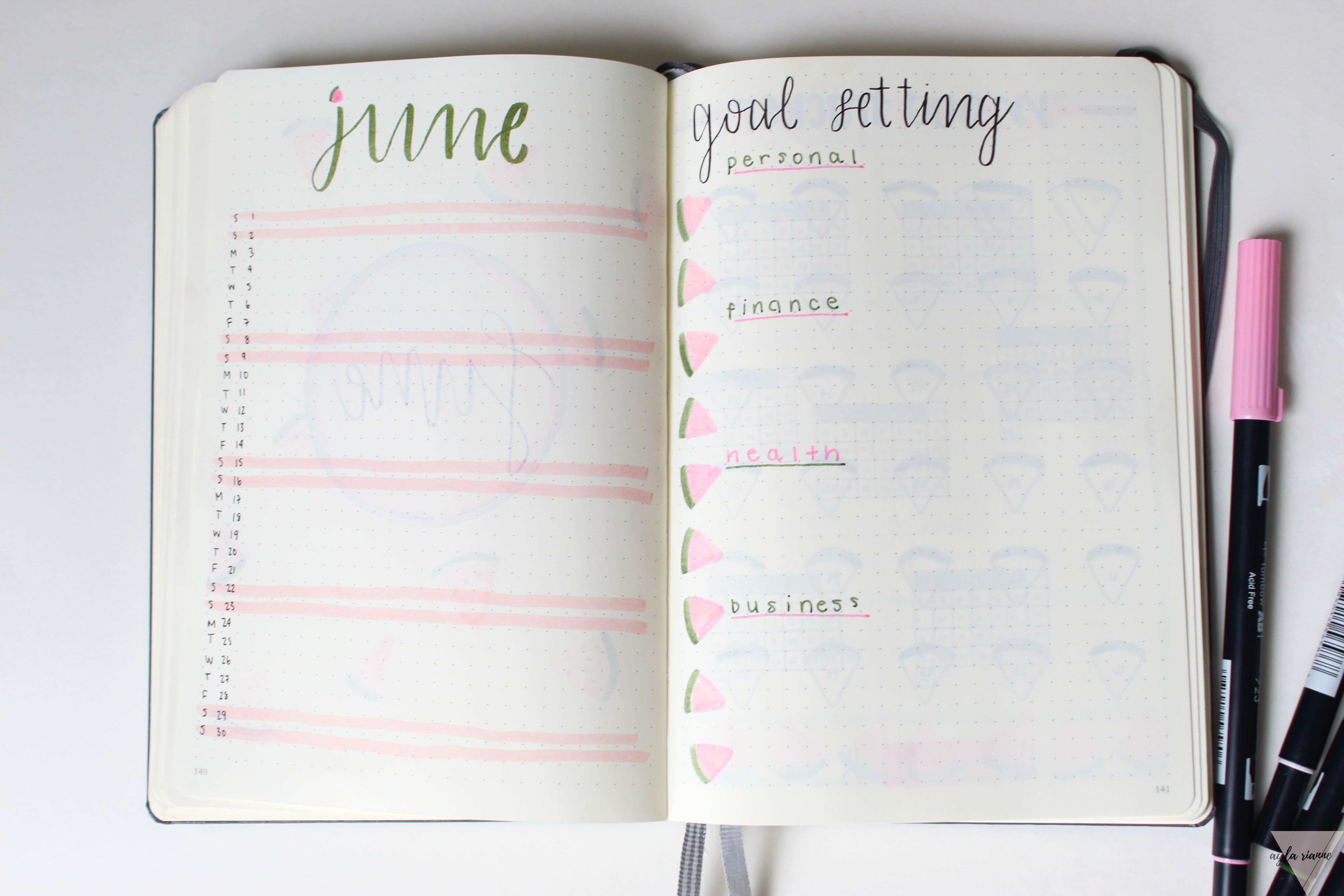 Plan With Me: February 2019