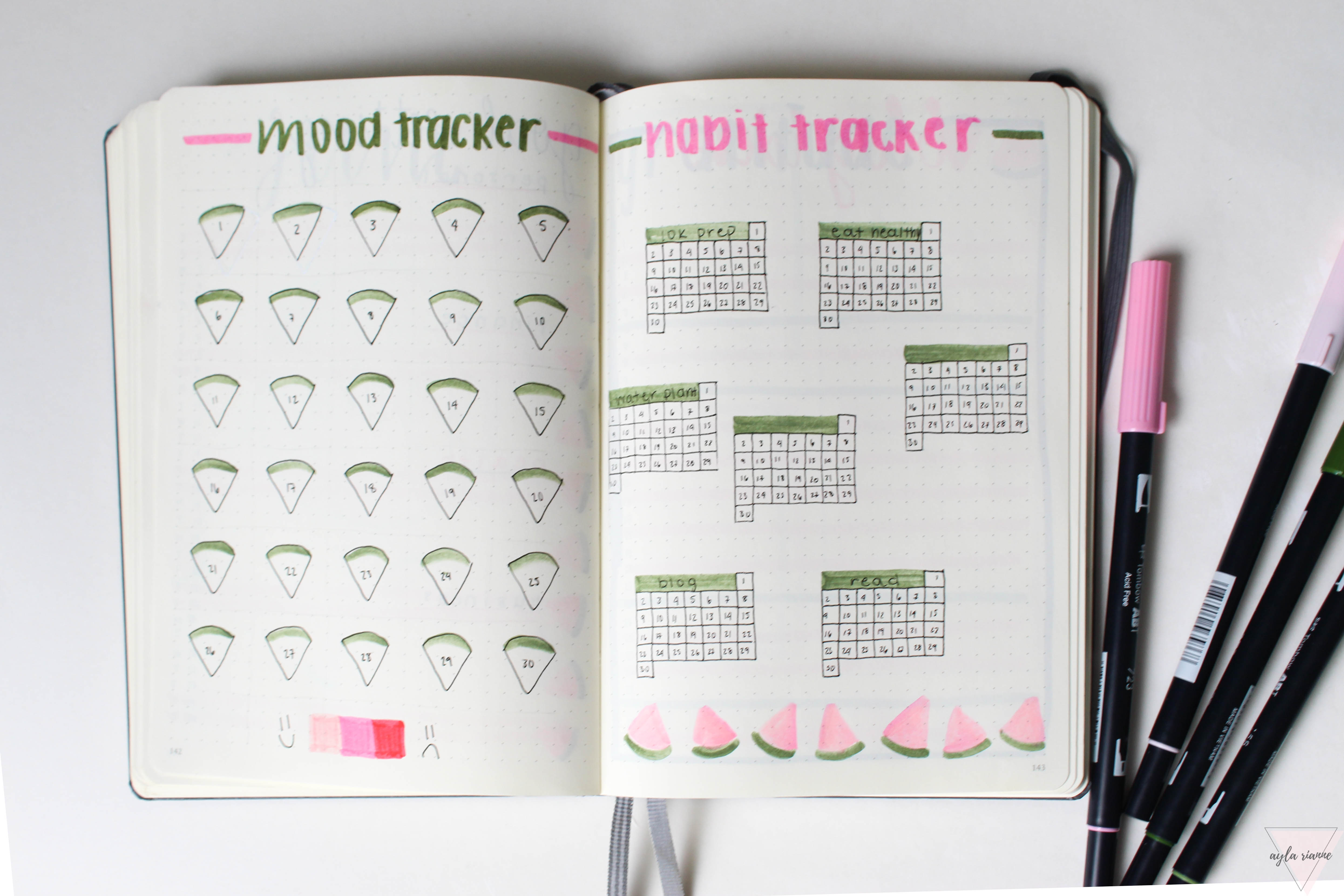 Watermelon Bullet Journal mood tracker and habit tracker #bulletjournal #moodtracker #habittracker