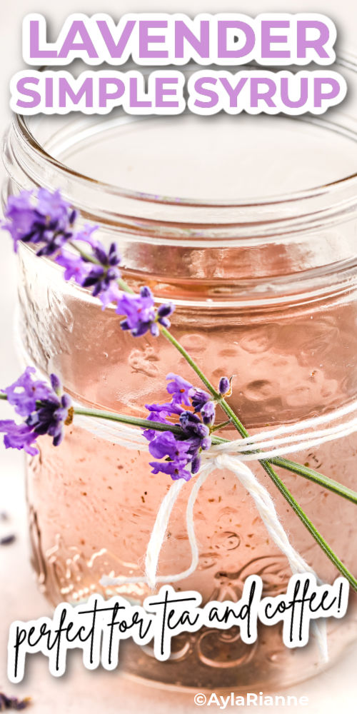 Lavender Simple Syrup Recipe with lavender garnish with writing