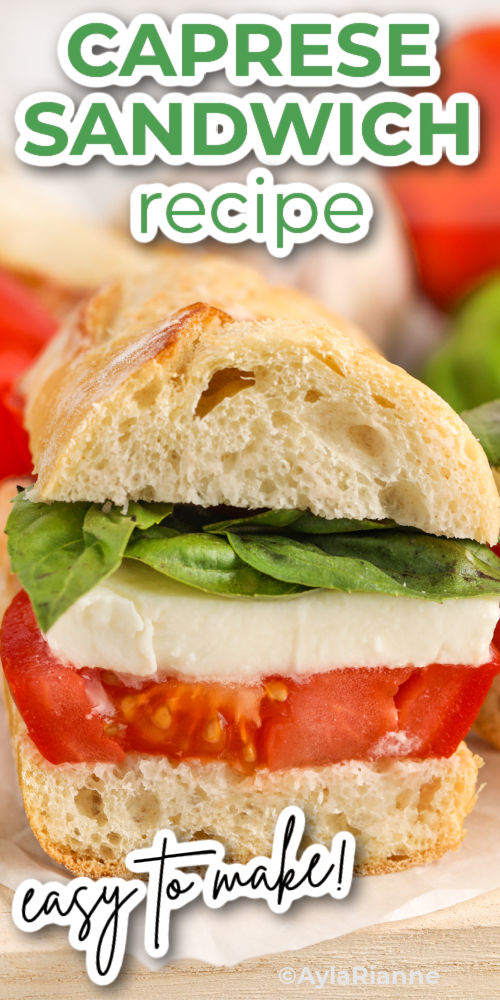 close up of Caprese Sandwich Recipe with writing