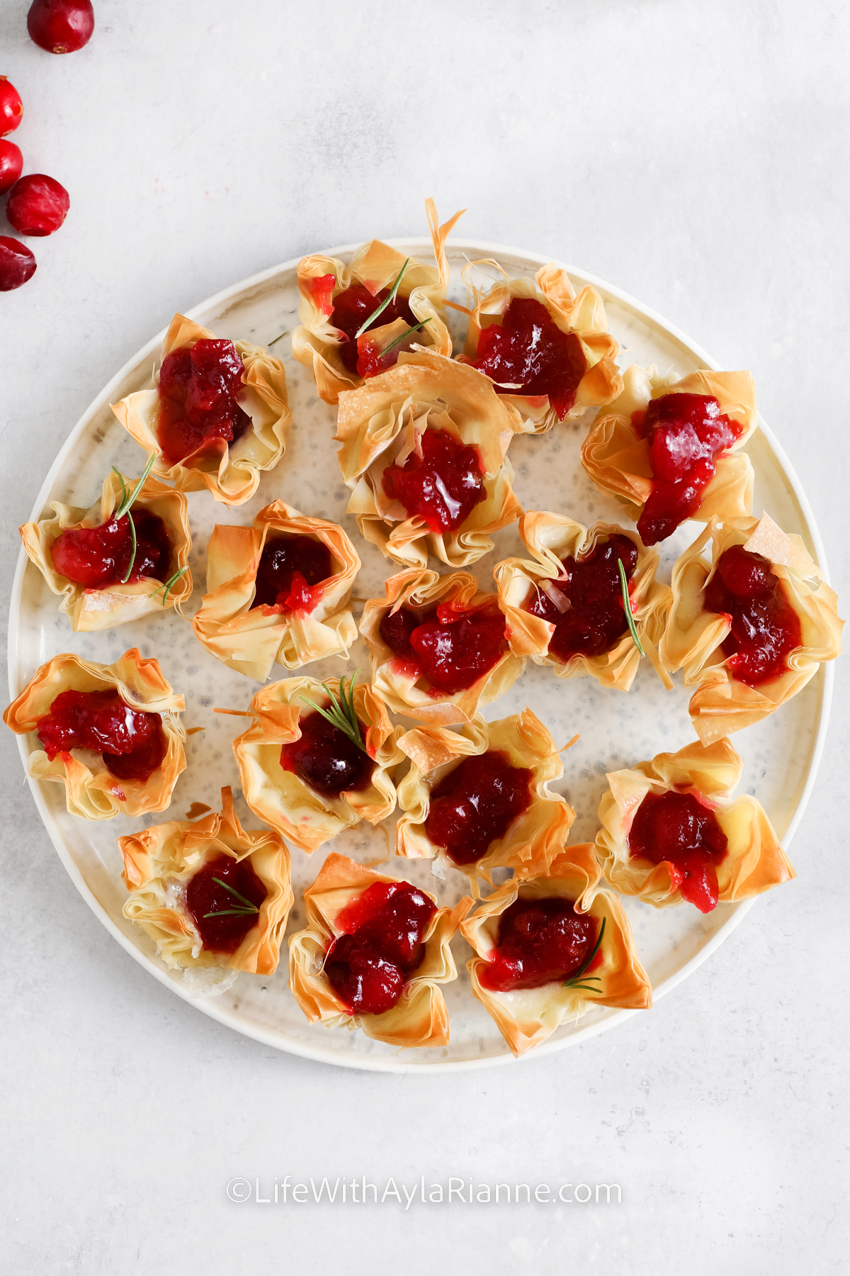 Brie Cranberry Bites on a white serving place