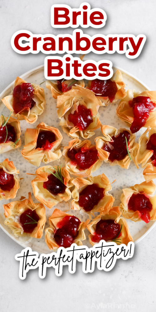 Brie Cranberry Bites on a serving plate with writing