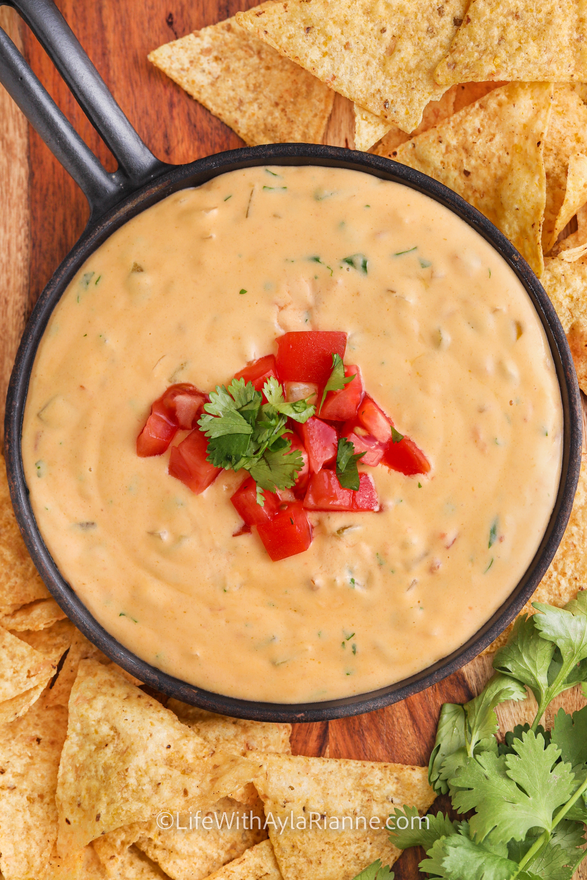 plated Queso dip with tortilla
